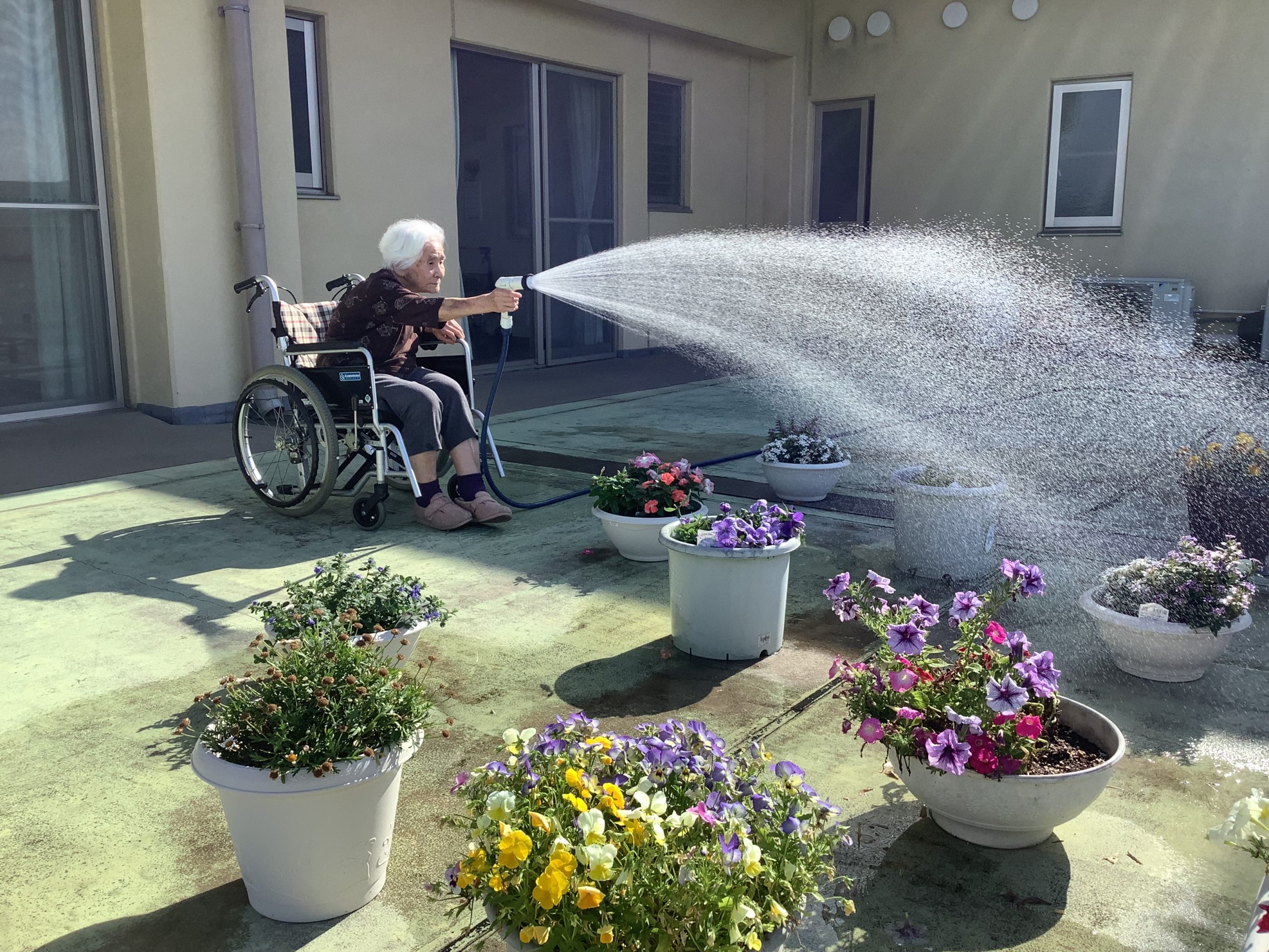 【つどうホール】特養　お花の水やり