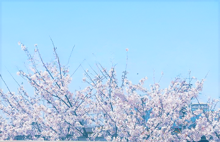 🌸令和５年度入社式🌸