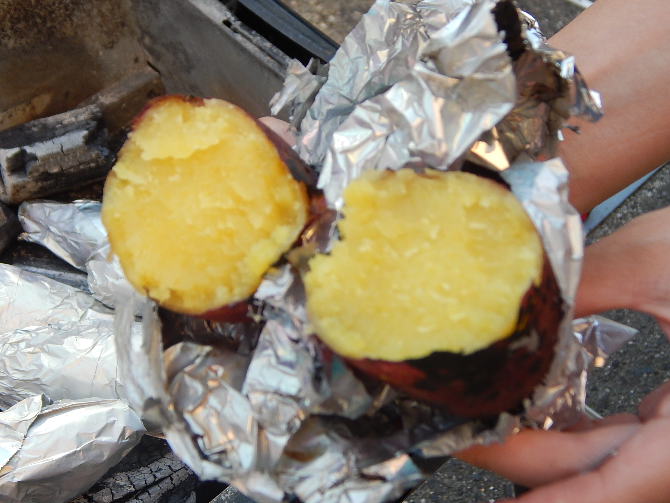 【大仙もずの音】10月デイサービスNEWS